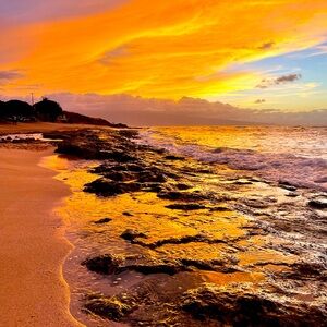 Meet your Posher, Pineapple Betsy